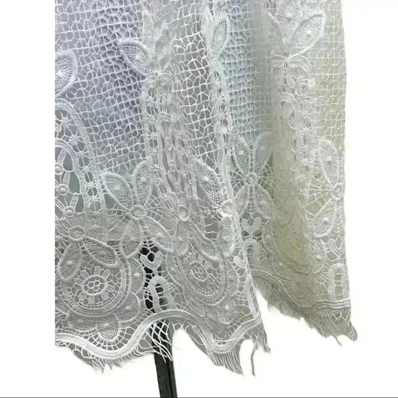 🆕NWT Lucy Paris Shift Dress With Lace Overdress - Picture 7 of 15